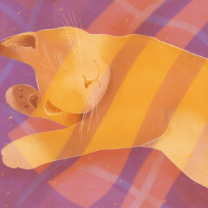 Illustration chat roux endormi avec reflet du soleil